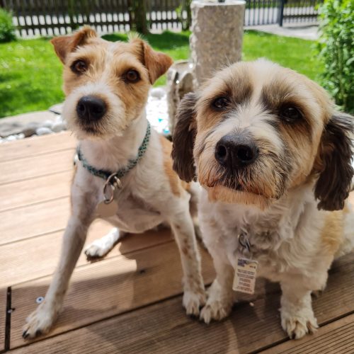 WhatsApp Image 2025-09-05 at 11.28.26